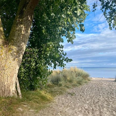 Feriendorf Suedstrand Haus 01 Pelzerhaken Eksteriør billede