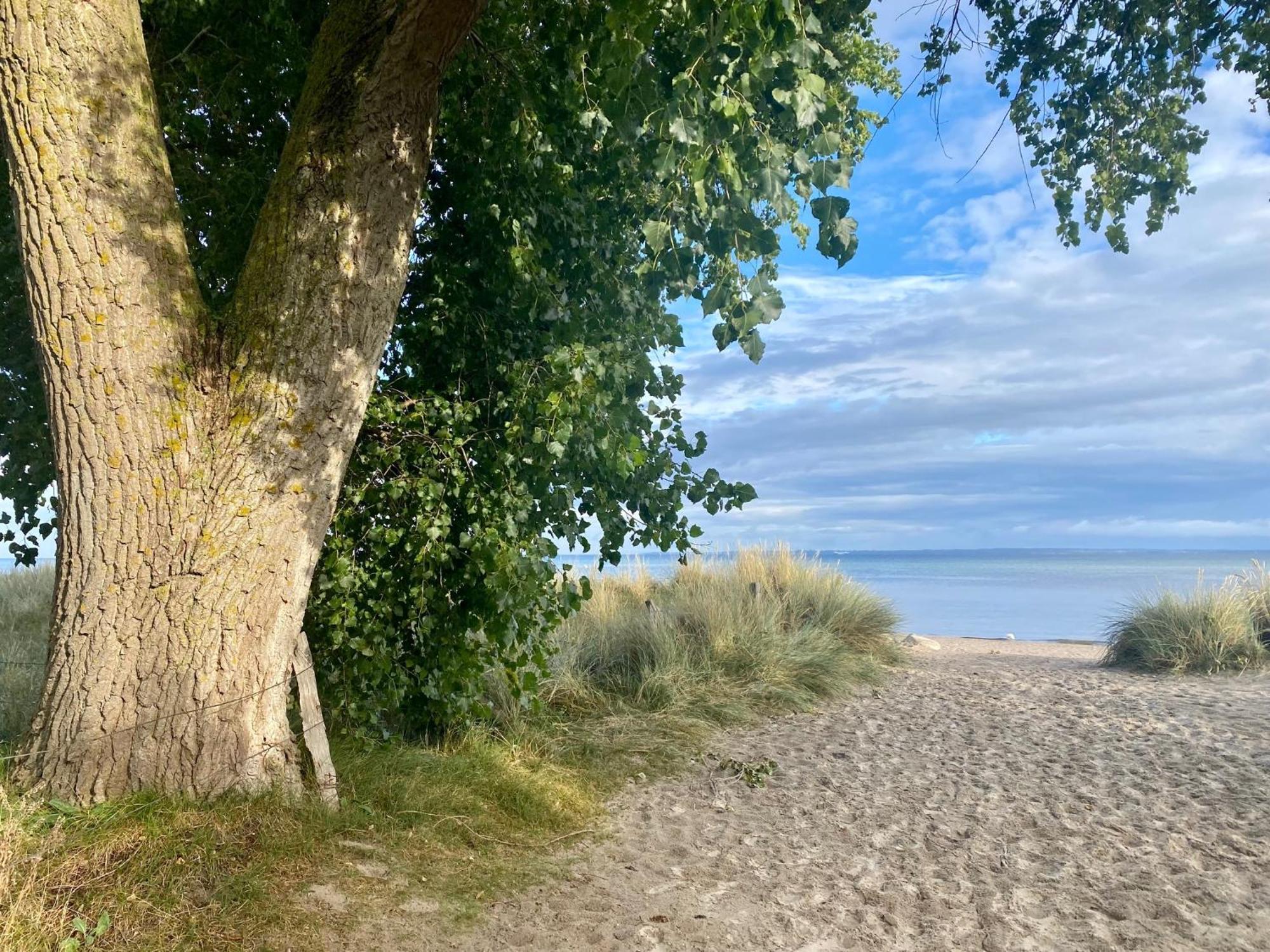 Feriendorf Suedstrand Haus 01 Pelzerhaken Eksteriør billede